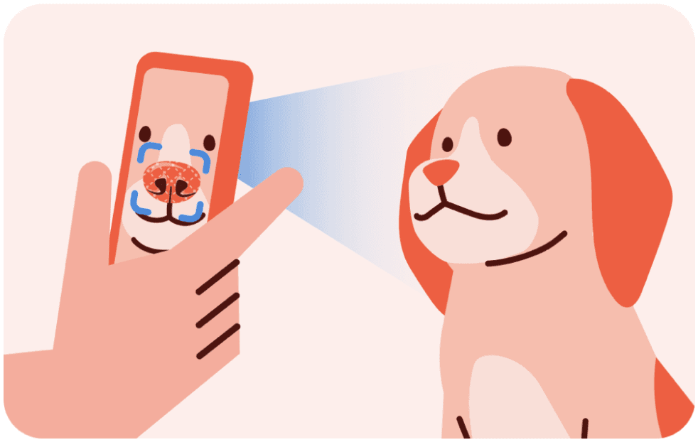 Petnow SDK Usage scenario